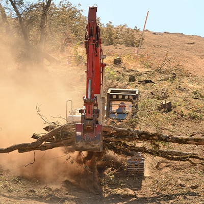 Land Clearing