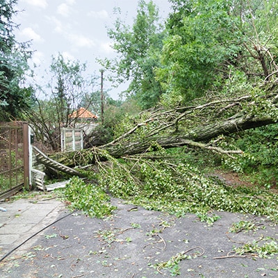 Storm Damage